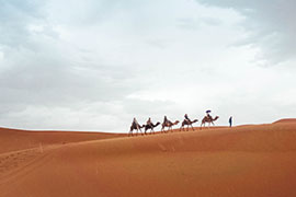 visual_block_014_img_000