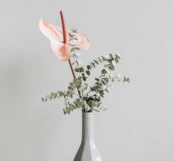 visual_block_039_img_002